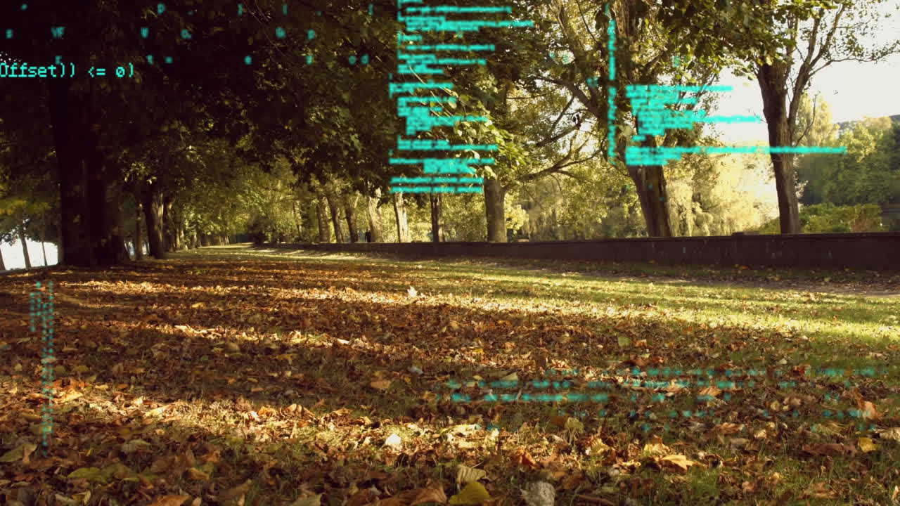 программные коды в парке