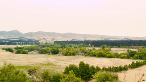 touceiras secas na fazenda e plantações nativas