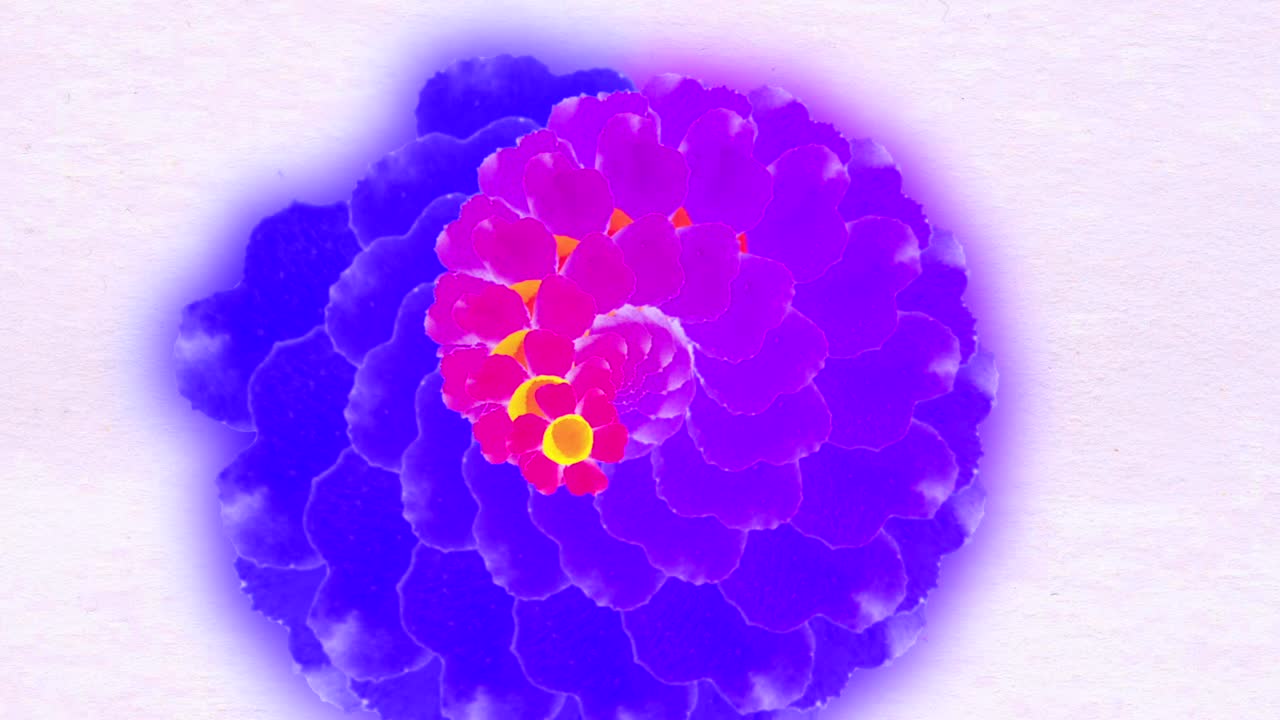 abstractas flores en espiral de colores