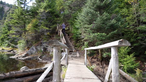 Man-running-On-a-lake-bridge