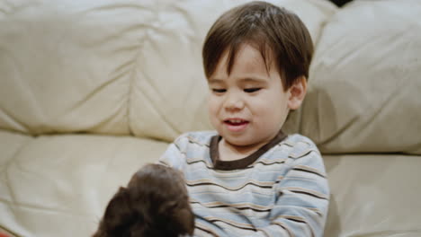 Cute-two-years-old-kid-gently-presses-a-white-Labrador-puppy-to-himself