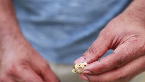 The-meat-black-clam-meat-is-opened-and-the-dirt-is-removed,-traditional-outdoor-cooking-,-Cleaning-with-hands