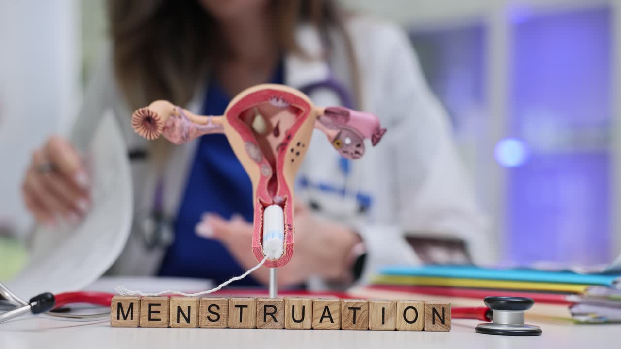 Parola mestruazioni su cubetti di legno e un modello anatomico dell'utero