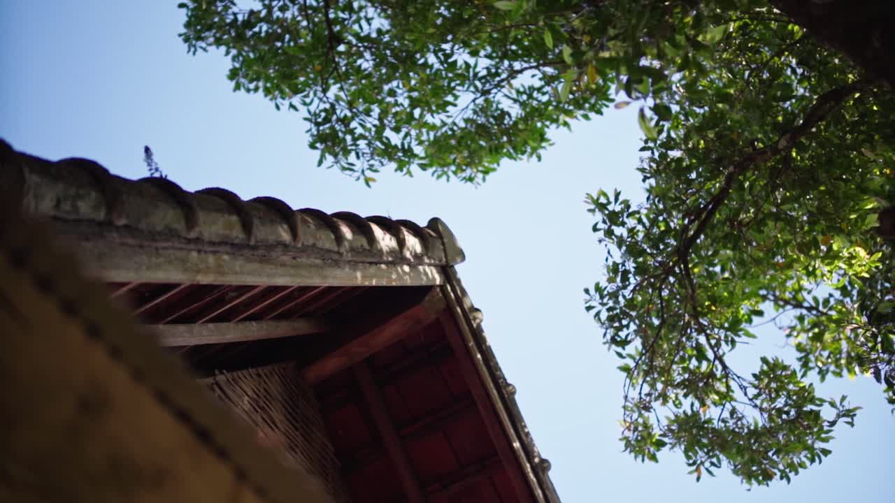 Upward view of a tropical house roof with clay tiles and clove tree leaves framing the scene, capturing a warm and natural island atmosphere