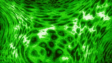 abstract green fluid art