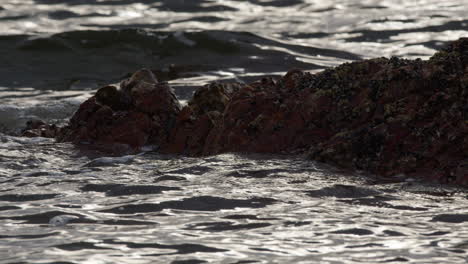 detailed shot of water splashing on barnacles on rocks, slow motion