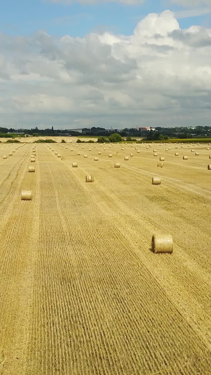 Field With A Straw. Farm field with a straw gathered into hay bale