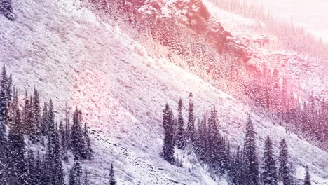 spots of light and snow falling over winter landscape with mountains and trees