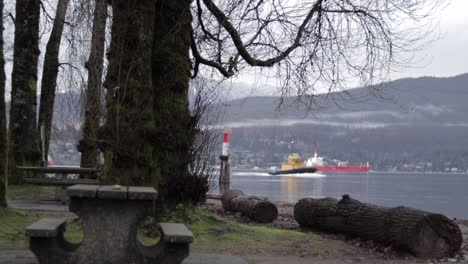 Verschiedene-Aufnahmen-Im-Barnet-Marine-Park-In-Bc,-Kanada-An-Einem-Schönen-Wintertag