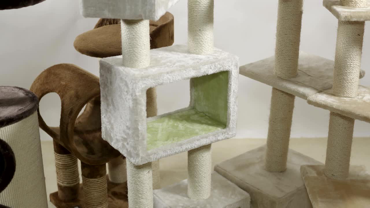 Area giochi per gatti da interno nel soggiorno. Tiragraffi a condominio per gatti, alberi per gatti.