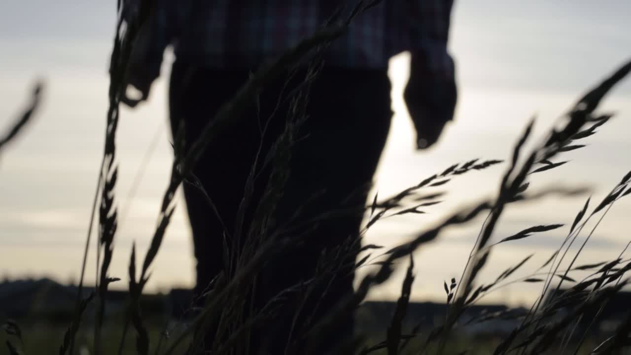 Woman walking through tall grass against sky at sunset with lens flares