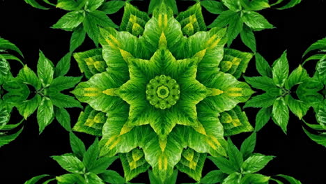 kaleidoscopic green leaves pattern