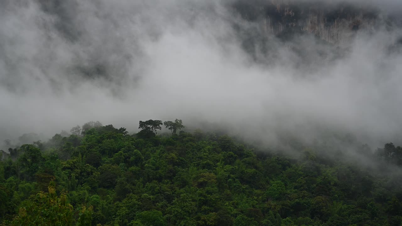 niebla tan espesa que se mueve hacia la izquierda sobre una selva tropical que revela una pared de montaña rocosa en sai yok, kanchanaburi, tailandia