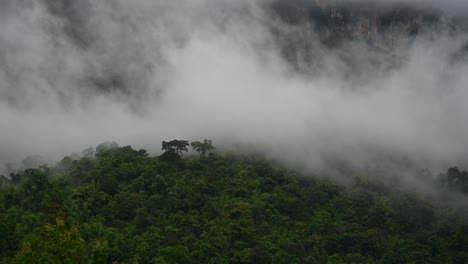 fog so thick moving to the left over a rainforest revealing a rock mountain wall in sai yok, kanchanaburi, thailand