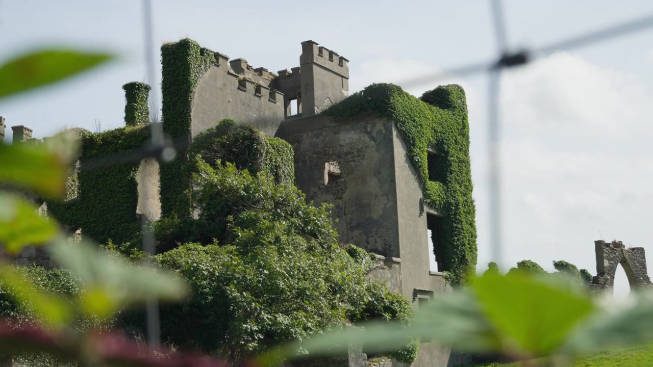 Vista ravvicinata del Castello di Clifden coperto d'edera, incorniciato da fogliame sfocato e recinzione metallica, che evidenzia la rovina storica senza tetto nella Contea di Galway, Irlanda