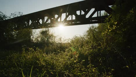 Brücke-In-Kentucky-Mit-Hintergrundbeleuchtung-Mit-Bäumen