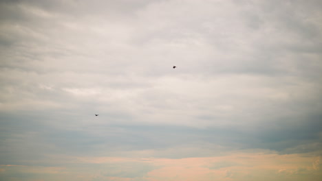 se ven dos pájaros negros volando con gracia a través de un cielo expansivo y nublado. la escena captura la atmósfera serena y abierta mientras los pájaros se deslizan por el aire