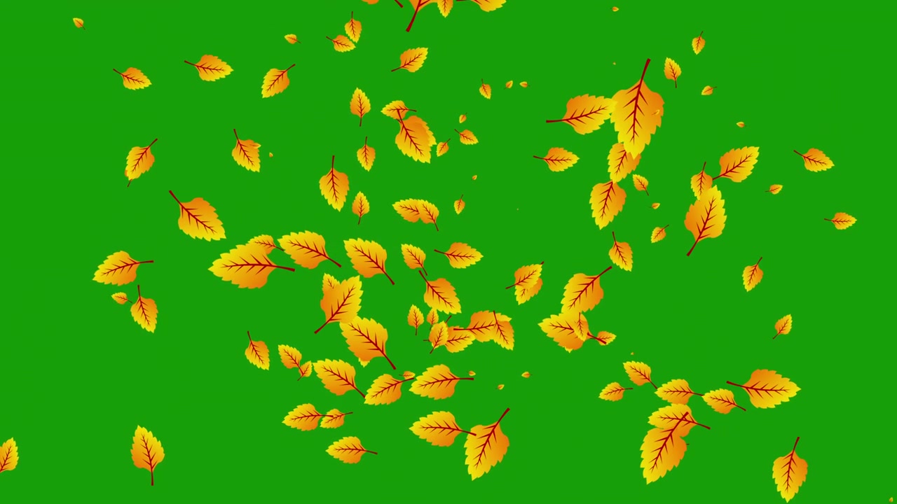 Foglie autunnali animate che fluttuano su sfondo green screen