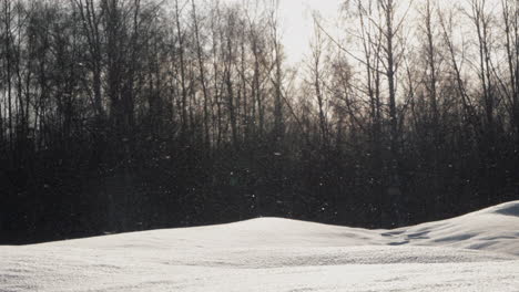 static view of snowflakes floating in air on a cold sunny day into natural environment
