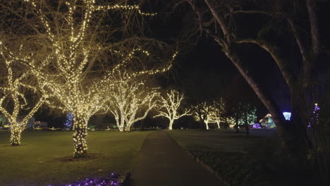 Trees-in-Garden-decorated-with-warm-Christmas-lights,-Night