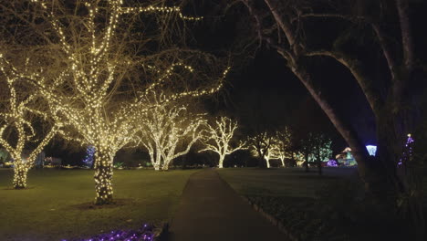 trees in garden decorated with warm christmas lights, night