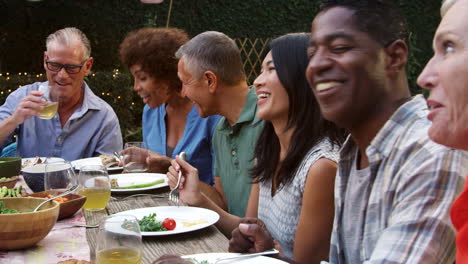 mature friends enjoying outdoor meal in backyard shot on r3d