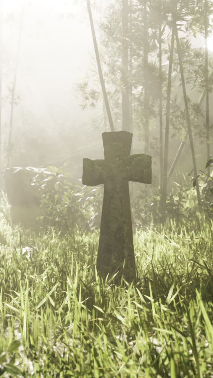 cruz de piedra en un bosque de bambú con niebla