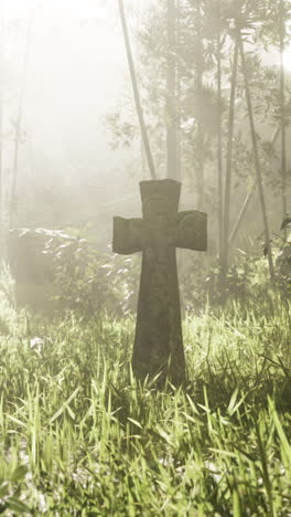 stone cross in a foggy bamboo forest