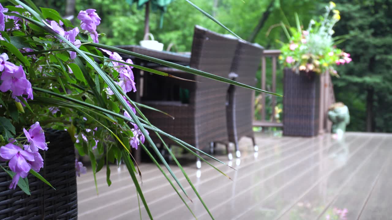 Suburban deck with lush background
