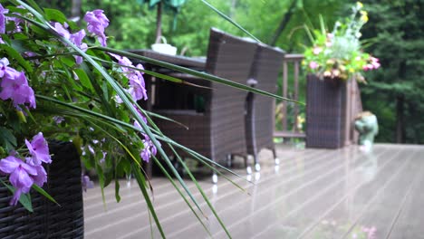 Suburban-deck-with-lush-background