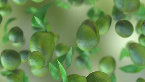 fresh avocado fruit loop-able background in slow motion 4k