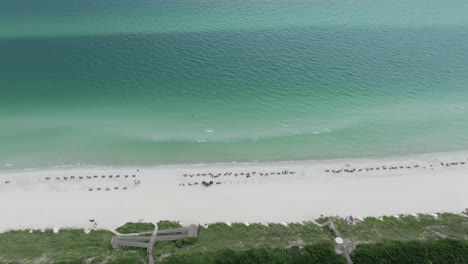 slide-to-right-motion-view-of-Rosmery-beach-cost-line-with-lounge-chairs-and-blue-green-waters-with-waves