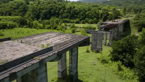 free, happy cows relaxing on a destroyed bridge and admiring peaceful nature