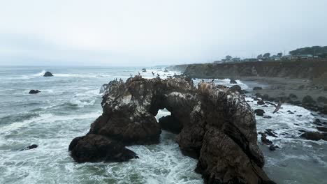 Birds-landing-on-Arched-Rock-in-Pacific-Ocean-as-waves-crash,-Sonoma-County-Bodega-Bay-along-Pacific-Highway-1-Coast,-California