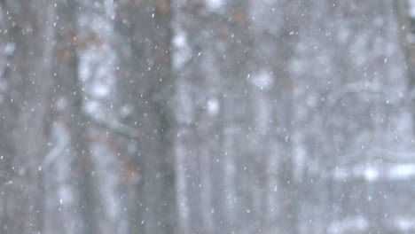 Slow-motion-snowfall-shot-at-120fps-on-the-Sony-a7Sii