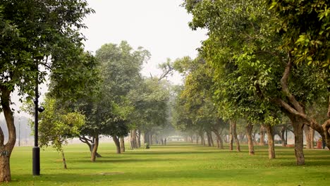 Rashtrapati-Bhavan-Garten-Im-Winter