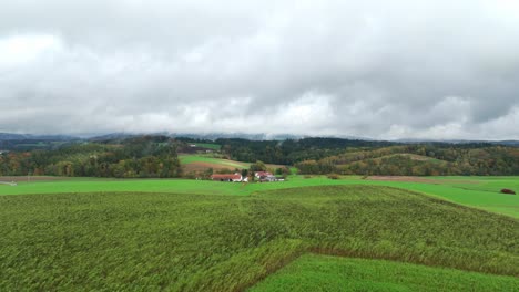 Grüne-Felder-Auf-Dem-Land-Vor-Bewölktem-Himmel---Drohnenaufnahme