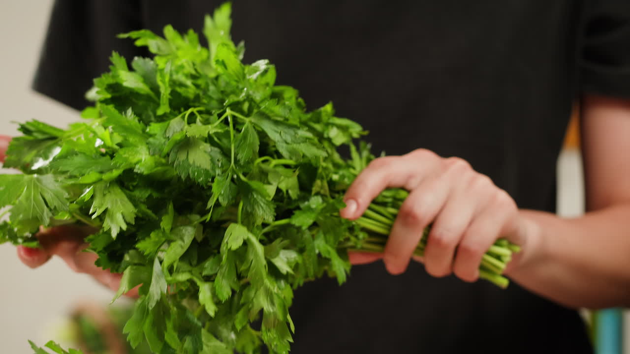 Cilantro parsley cutting by knife close up, chef chop cut coriander aromatic, traditional asian and Mexican cuisine herb studio shot. High quality 4k footage