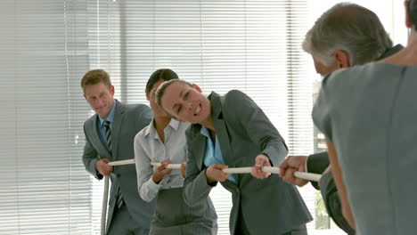 two business team people pulling rope