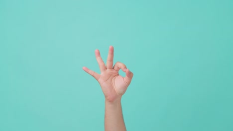 close up shot of human hand raising, making hand gesture ok sign or ring gesture, thumb and index finger to a circle, and holding the other fingers straight. seen in isolate blue screen in background.