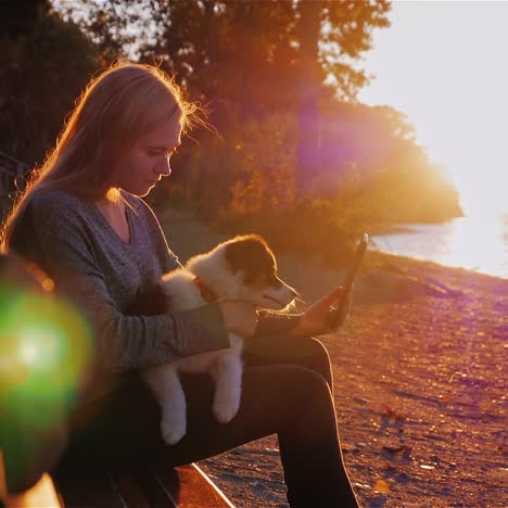 Eine-Frau-Ruht-Mit-Einem-Hund,-Der-Auf-Einer-Bank-Sitzt,-Vor-Dem-Hintergrund-Eines-Wunderschönen-Sonnenuntergangs-über-Dem-See-Ontario-1