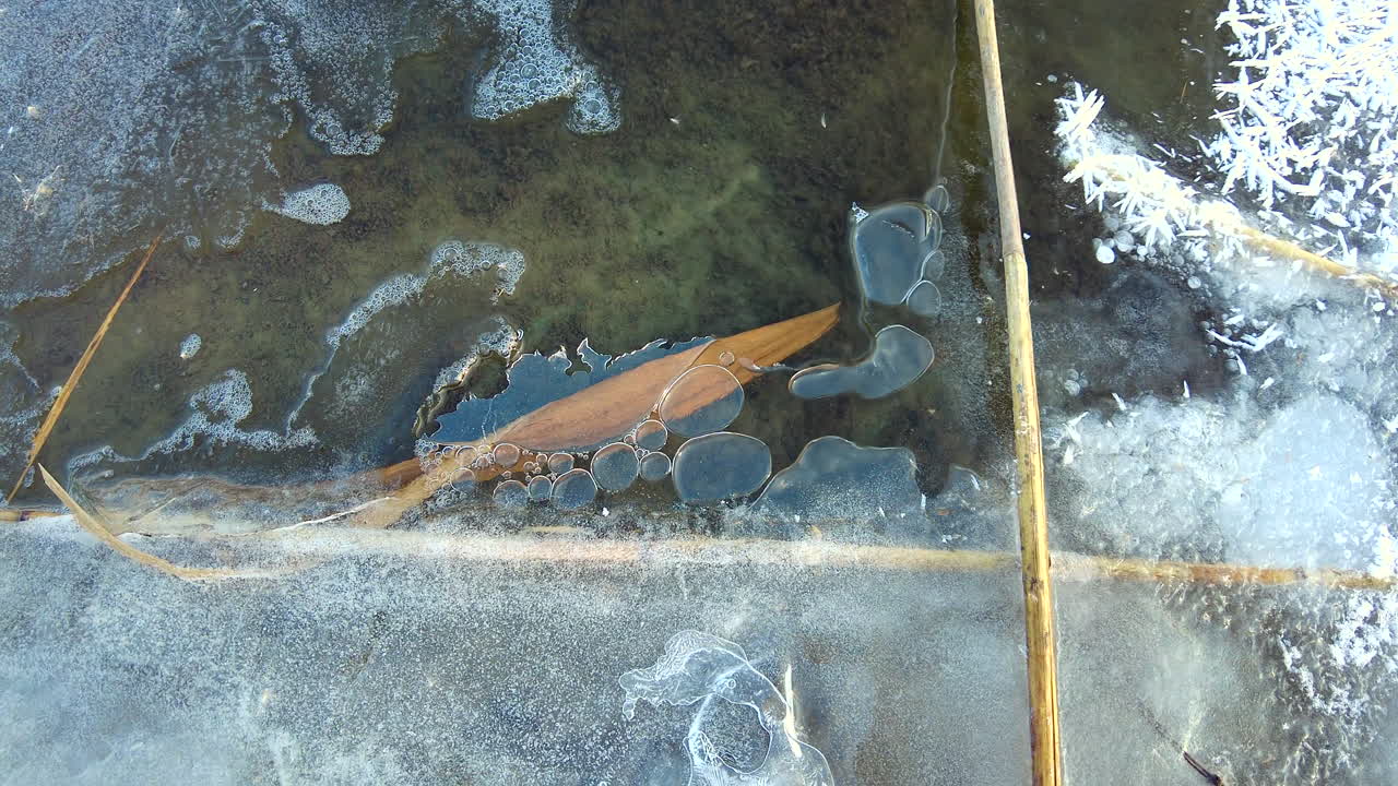 A close view of a frozen pond showing intricate ice bubbles and fallen leaves. The winter scene showcases the beauty of nature's frozen designs, capturing the tranquility of the cold season