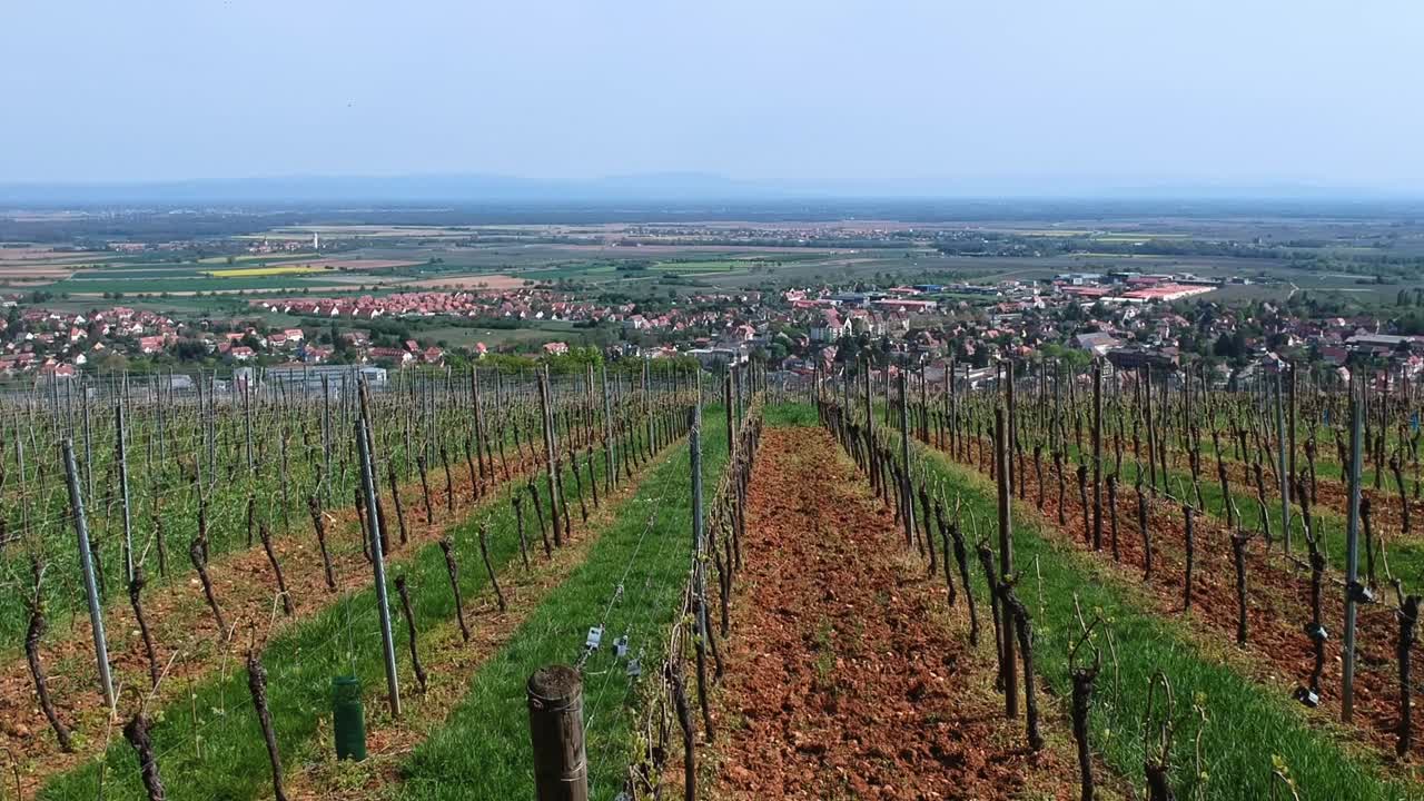 Plan aérien en élévation au-dessus de vignobles sur des collines, avec un magnifique village traditionnel en arrière-plan dans l'est de la France.