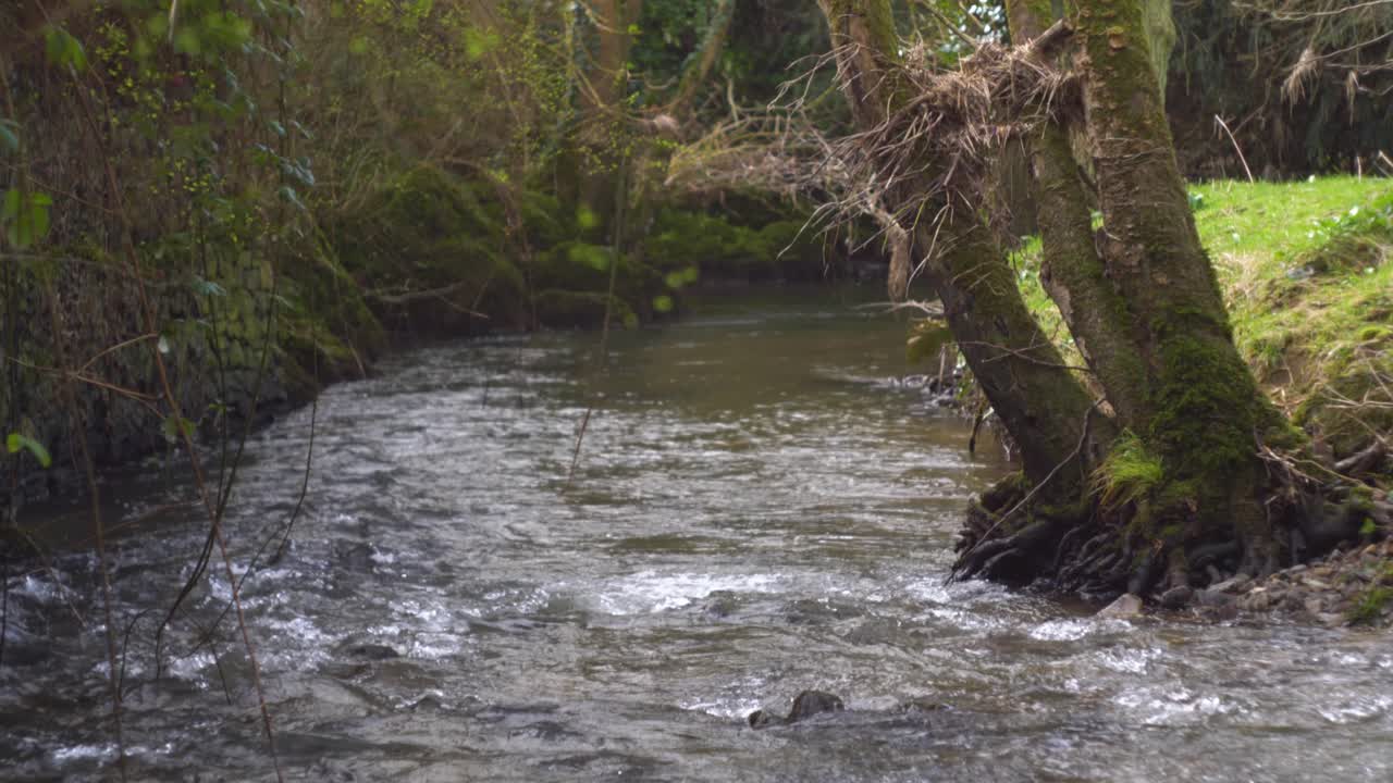 A valle, vicino all'antica abbazia di Mellifont a Tullyallen, Contea di Louth, Irlanda