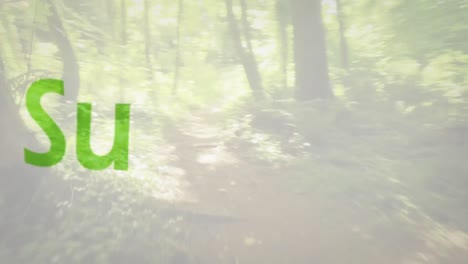 재생 가능 에너지 보존 개념 텍스트의 디지털 애니메이션은 숲을 배경으로합니다.