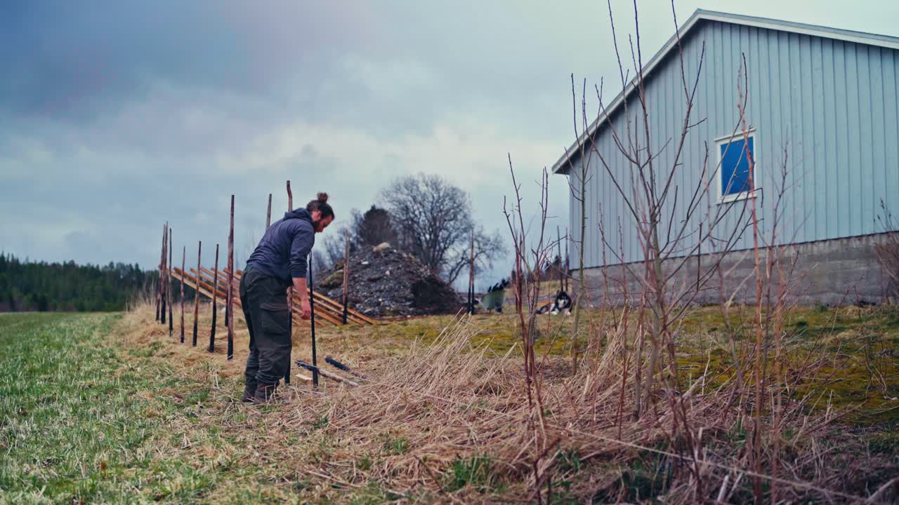 Man Constructing A Skigard - Traditional Norwegian Fence - Wide Shot