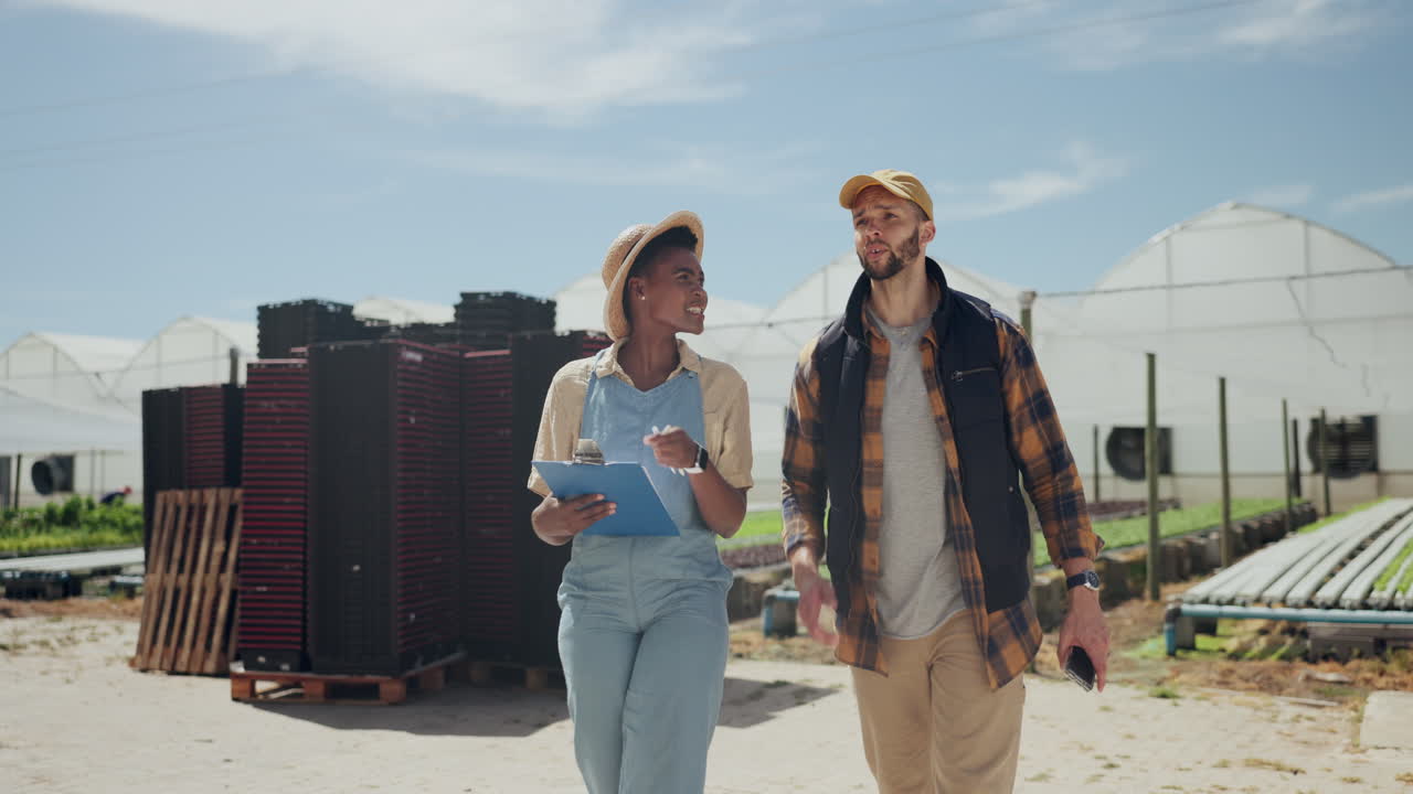 trabajadores agrícolas inspeccionando los cultivos en el invernadero