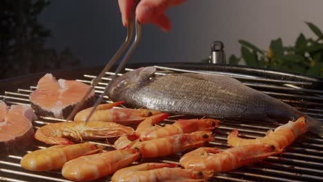 grilled salmon and shrimp