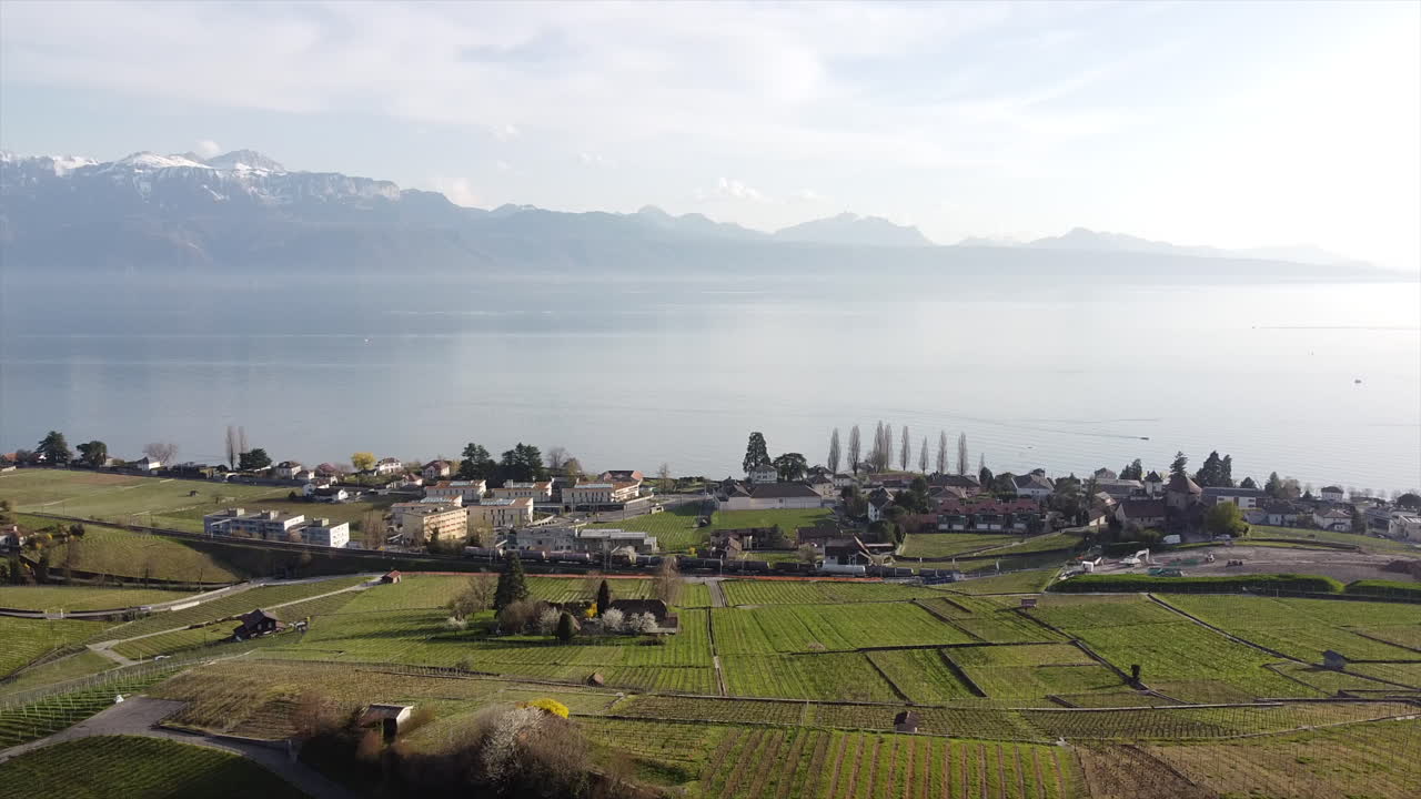 inclinación aérea hacia abajo y hacia arriba de viñedos y un tren en lutry, suiza con el lago de ginebra en el fondo
