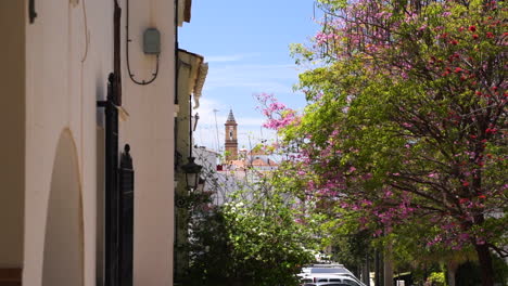 Beautiful-city-street-with-foliage-and-church-tower-in-distance,-handheld-view